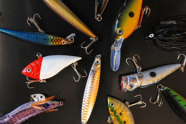 宮城の釣り情報まとめ!おすすめポイントや魚の種類&釣果を解説!のイメージ