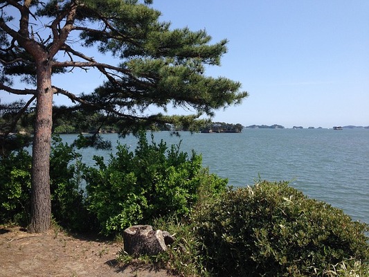 松島・瑞巌寺の「五大堂」を観光!縁結びの透かし橋や御朱印を紹介!のイメージ