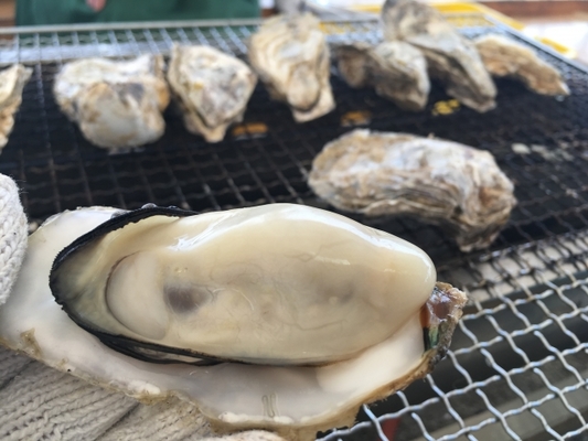 宮城・仙台の牡蠣小屋で食べ放題を満喫!旬の時期やおすすめ店9選!のイメージ