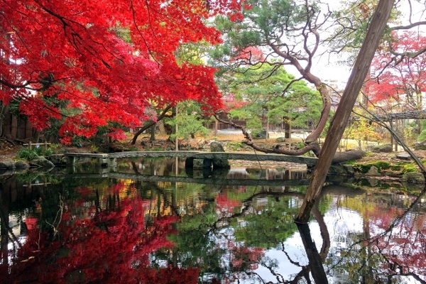 秋保「天守閣自然公園」の木の家ロッジ村や庭園を散策!足湯でゆったり!のイメージ