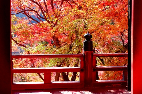 石巻「釣石神社」は巨岩が落ちないパワスポ!合格祈願はここで決まり!のイメージ