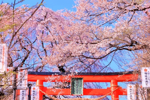 「榴岡天満宮」は学問の神様を祀るパワスポ!限定御朱印やお守りを紹介!のイメージ