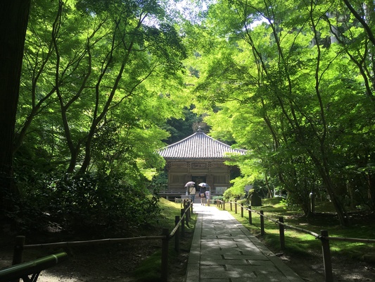 松島の名所「円通院」で庭園や天然石の数珠作りを満喫!御朱印や駐車場は?のイメージ