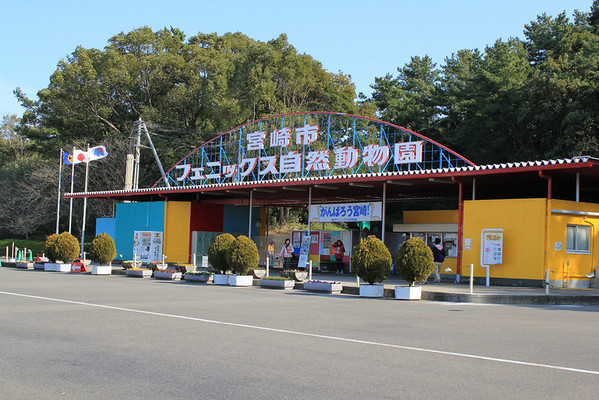 「宮崎市フェニックス自然動物園」の楽しみ方!遊園地やプールも遊べる!のイメージ