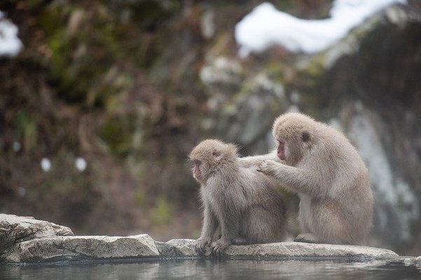 古湯温泉のおすすめ旅館14選!日帰りプランや家族風呂も徹底解説!のイメージ