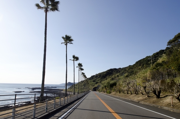 宮崎の道の駅ランキングTOP17!温泉やグルメを満喫!車中泊にも!のイメージ