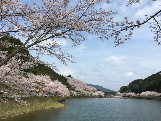 「ダムの駅 富士しゃくなげの里」で嘉瀬川ダムとグルメを満喫!お土産も!のイメージ
