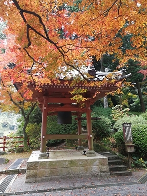 「大興善寺」は5万本のつつじが咲き誇る絶景名所!見頃や祭りも紹介!のイメージ