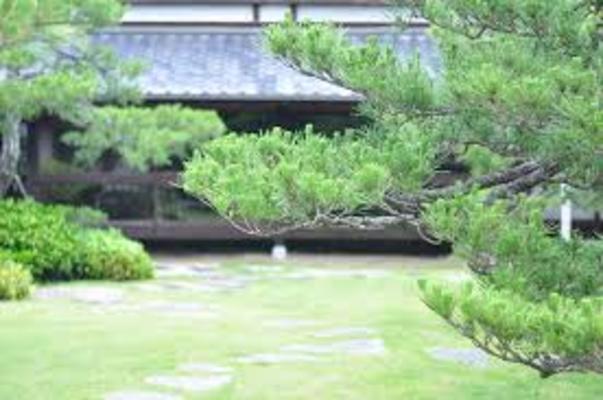 唐津「洋々閣」は和風の情緒深い老舗旅館!庭園や絶品の食事は必見!のイメージ