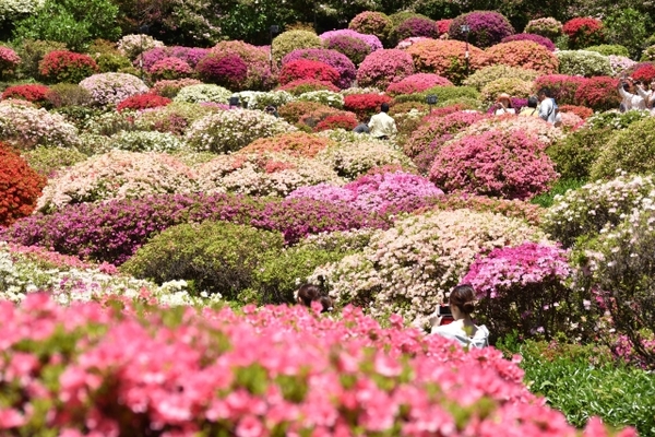 「御船山楽園」は紅葉とツツジの絶景名所!四季の変化やランプの森が人気!のイメージ
