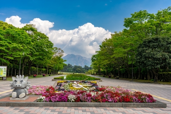 鹿児島「吉野公園」は桜の絶景名所!桜まつりや展望台の景色も解説!のイメージ