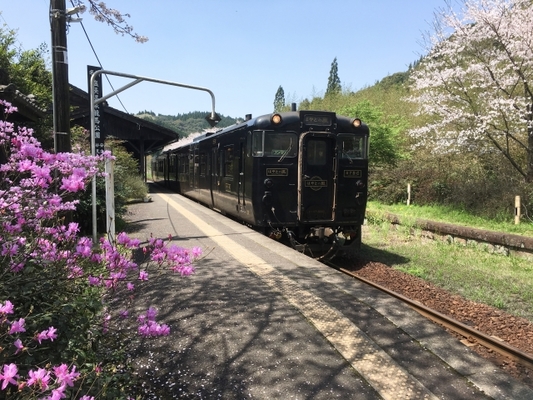鉄道マニア必見!漆黒の特急列車「はやとの風」で九州観光の旅!のイメージ