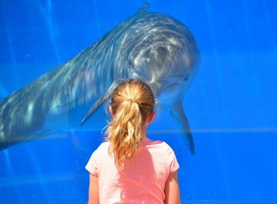 鹿児島のおすすめ水族館&動物園7選!子連れ家族やカップルのデートに!のイメージ