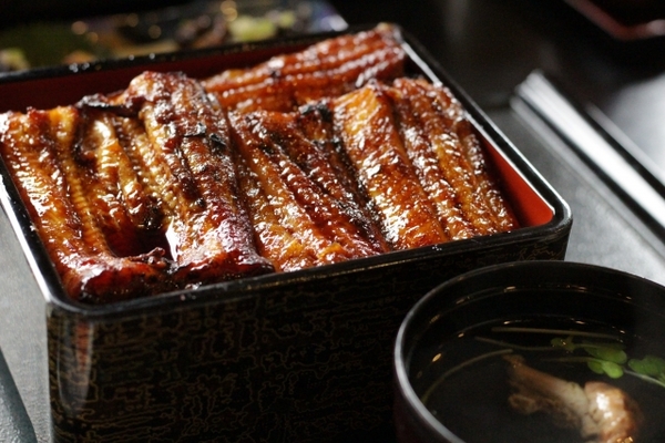 鹿児島はウナギの養殖量日本No.1!最強に旨い有名店12選を紹介!のイメージ