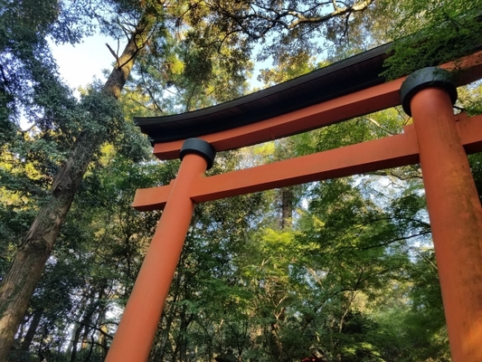 大分の最強パワースポットランキングBEST25!神社や自然で力を貰おう!のイメージ