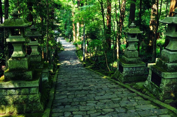 大分「両子寺」は神秘的な森林と仏の聖地!仁王像や七不思議とは?のイメージ