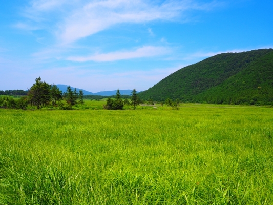九重連山の麓!「タデ原湿原」で遊歩道散策や希少な花に癒さよう!のイメージ