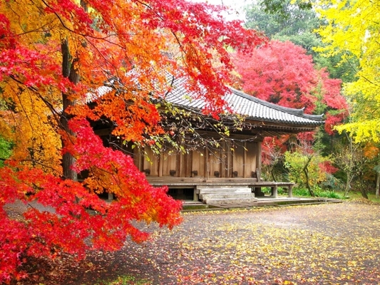 大分「富貴寺」は福山雅治が訪れたロケ地!御朱印や紅葉の絶景も紹介!のイメージ