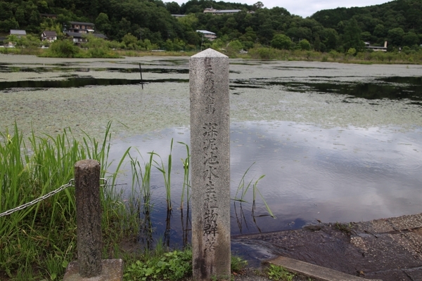 京都「深泥池」はタクシー怪談で有名な心霊スポット!やばい噂を徹底調査のイメージ