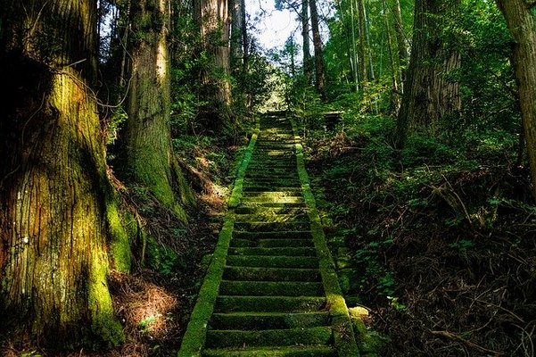 奈良の廃神社「白高大神」は屈指の心霊スポット!中井シゲノとの関係は?のイメージ