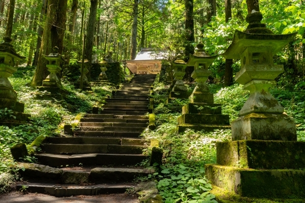 神秘的!上色見熊野座神社はまるで異世界への入り口?アニメ映画の舞台に!のイメージ