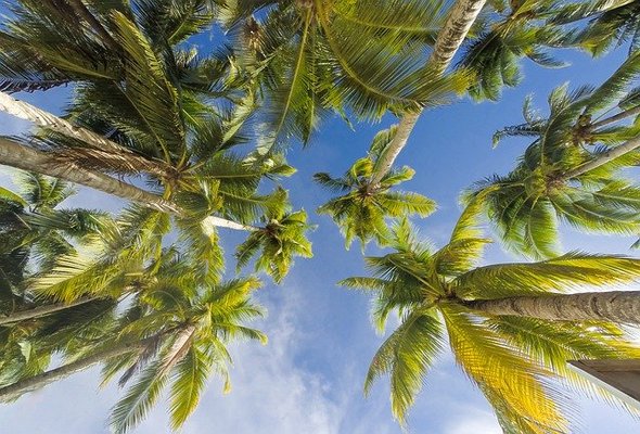 行川アイランド跡地の現在は?全盛期の様子や心霊・再開発情報を調査!のイメージ