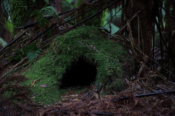 チビチリガマは集団自決の悲劇のスポット!荒らし事件や心霊現象とは?のイメージ