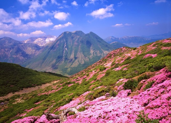 【九重連山】久住山の登山ガイド!おすすめルートやミヤマキリシマの絶景!のイメージ