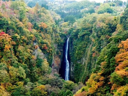 「九酔渓」で渓流の大自然と美しい紅葉を満喫!温泉や展望所も紹介!のイメージ