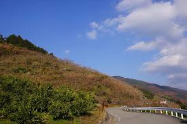 長野・青木峠「明通トンネル」は心霊名所?過去の死体バラバラ事件とは?のイメージ