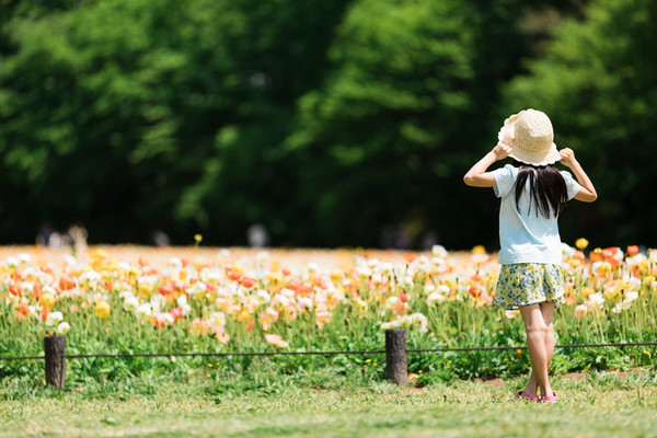 熊本のおすすめ遊び場30選!子供から大人まで楽しめるスポットを厳選!のイメージ