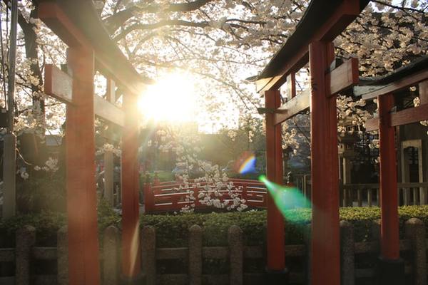 「宮地嶽神社」で頂ける御朱印一覧!受付時間や値段は?御朱印帳も必見!のイメージ