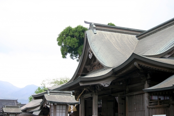 「阿蘇神社」は悠久の歴史を有する荘厳な古社!御朱印や現在の復旧の様子は?のイメージ