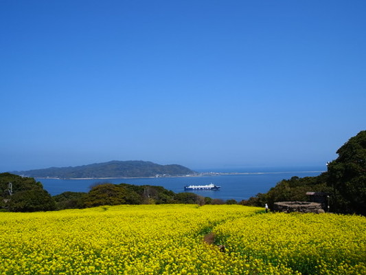 博多湾に浮かぶ「能古島」を満喫!観光の魅力や絶品グルメ情報を徹底解説!のイメージ