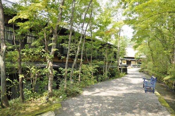 黒川温泉「旅館 山河」は森に溶け込む秘湯の宿!風情溢れる温泉は極上!のイメージ