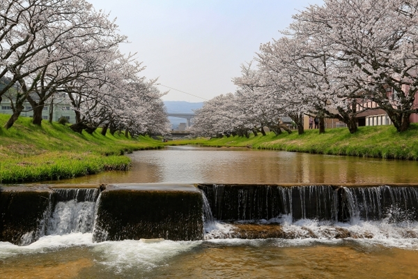 玉造温泉「松乃湯」は長い歴史を持つ老舗旅館!温泉や絶品料理をご紹介!のイメージ