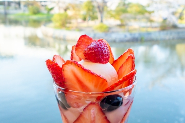 広島で美味しいおすすめパフェ20選!インスタ映え間違いなしの人気店へ!のイメージ