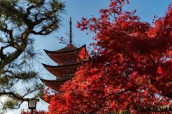 日本三景「宮島」でほっと一息♪景色も抜群なお洒落カフェ12選!のイメージ