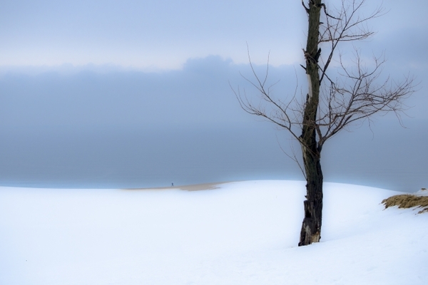 冬ならではの絶景!鳥取砂丘の雪景色が圧巻の美しさ!時期や気温も解説!のイメージ