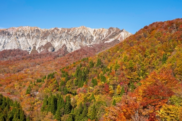 「鍵掛峠展望台」には圧巻の紅葉が目前に広がる!絶景の見頃の時期は?のイメージ