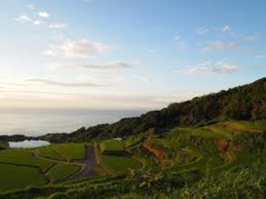 日本の棚田百選!長門市「東後畑棚田」で夕日に照らされた絶景を鑑賞!のイメージ
