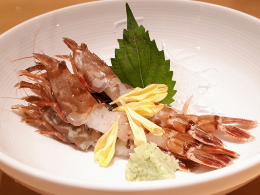 鳥取の幻グルメ「モサエビ」とは?旬の時期や美味しい人気店10選を紹介!のイメージ