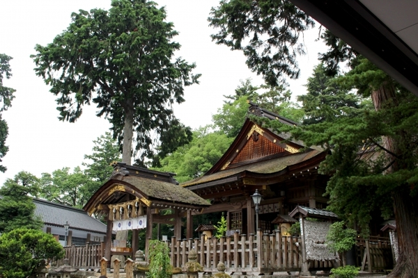 鳥取「因幡国一の宮 宇倍神社」はお金と縁深い神社!御朱印&お守りも紹介!のイメージ