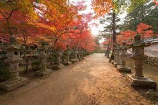 広島三原市「佛通寺」で圧巻の紅葉を鑑賞!見頃の時期や御朱印情報!のイメージ