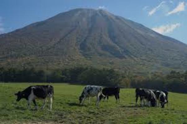 「大山まきばみるくの里」で手作り体験や絶品グルメを!お土産も紹介!のイメージ