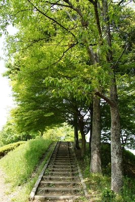 「蜂ヶ峯総合公園」で美しいバラ園やアスレチックを満喫!キャンプ場も紹介!のイメージ