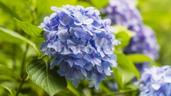 「江汐公園」で四季折々の花々や遊具を楽しむ!キャンプ場の情報も紹介!のイメージ