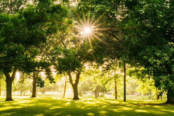「国営備北丘陵公園」は年中いつでも魅力満点!楽しみ方を徹底解説!のイメージ