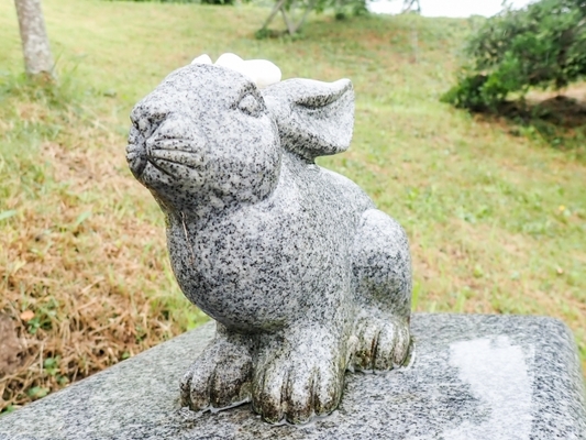【鳥取】「白兎神社」伝説の縁結びパワースポット!のイメージ