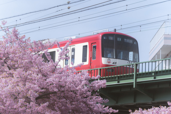 岡山~京都間の移動手段のまとめ!新幹線/電車/高速バス/自家用車の料金&所要時間を徹底解説のイメージ